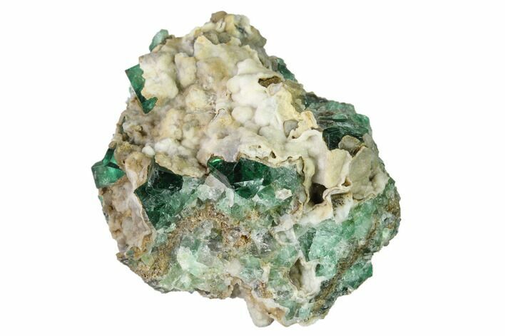 Aragonite Encrusted Fluorite Crystal Cluster - Rogerley Mine #143056